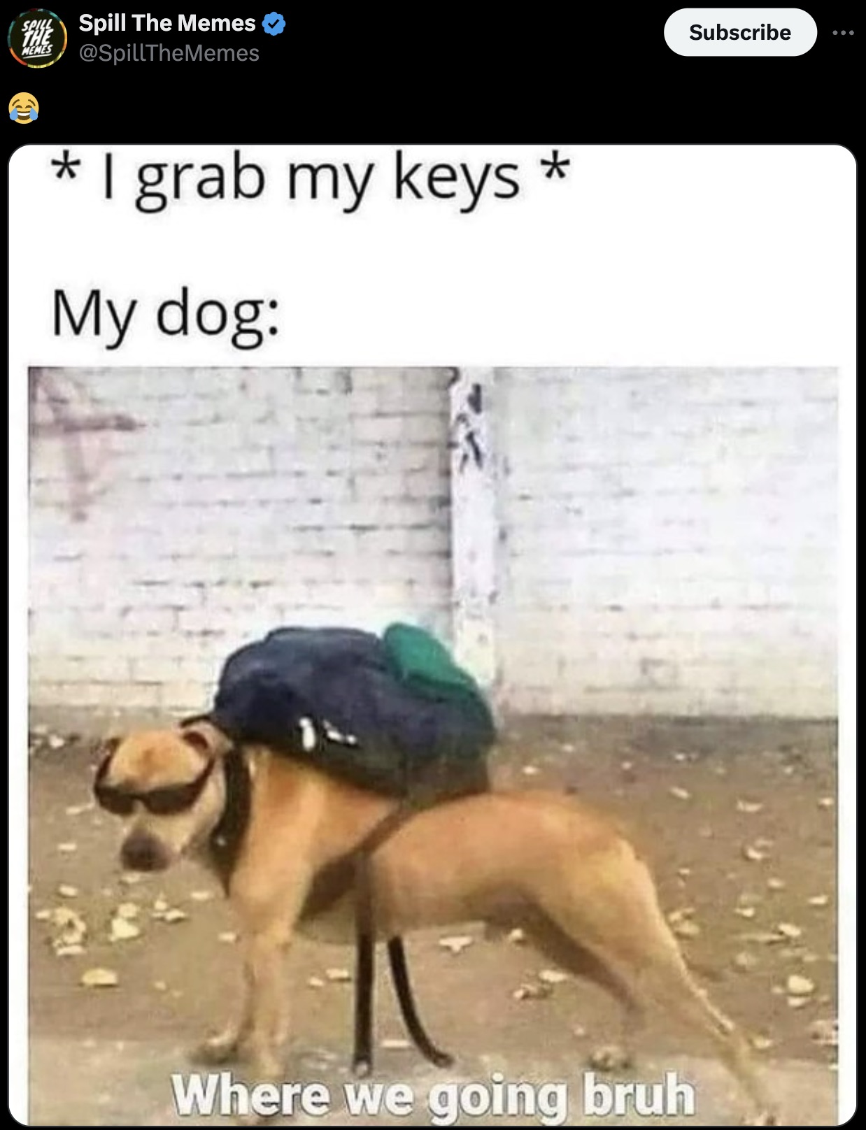 dog with backpack meme - Spill The Memes Spill The Memes I grab my keys My dog Where we going bruh Subscribe